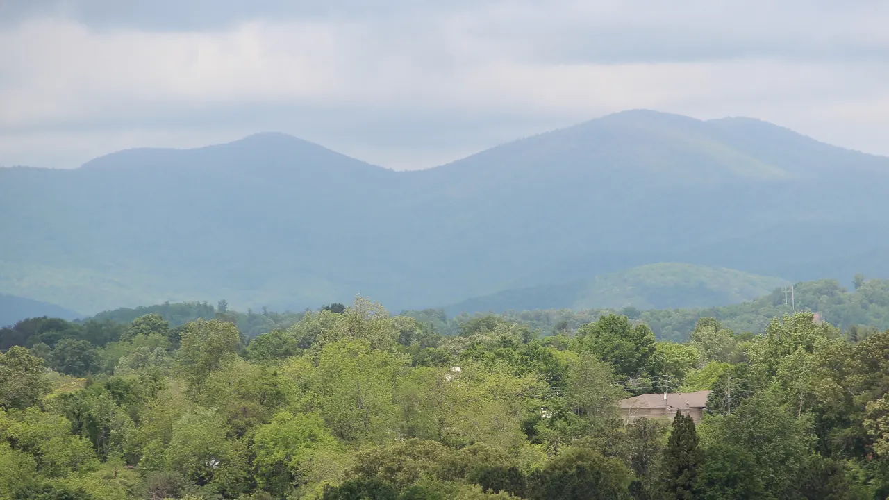 Two broad blue-green mountains under a soft grey sky, rising beyond a wide band of fresh spring treetops and a few rooftops.