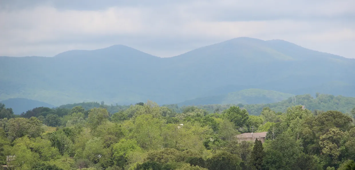 Two broad blue-green mountains under a soft grey sky, rising beyond a wide band of fresh spring treetops and a few rooftops.